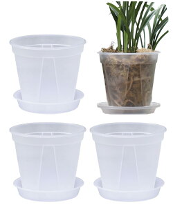 �y���������zS.fields.inc �X���b�g�� �A�ؔ� ���� �v���X�`�b�N ��M�t�� 4�Z�b�g �ϗt�A�� �I�[�L�b�h�|�b�g �F�F�����A�T�C�Y�F6��