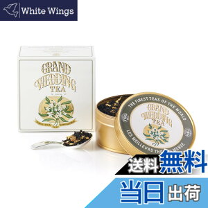 �y���������zTWG Tea ���� ���t �ʓ��� �M�t�g �T�C�Y�F100�O���� (x 1)