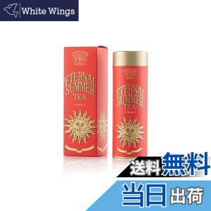 �y���������zTWG Tea ���� ���t �ʓ��� �M�t�g �T�C�Y�F120�O���� (x 1)