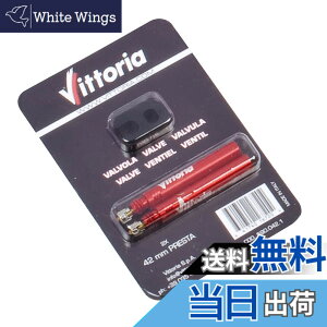 �y���������z�r�b�g���A(Vittoria) �����[�o�u�� �o���u[removable valve] 110mm (2�{) �F�F���b�h�A�T�C�Y�F��