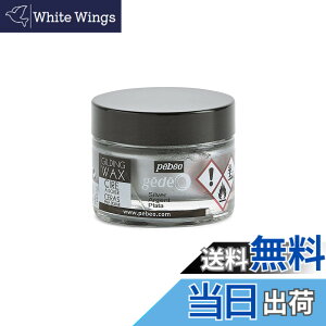 �y���������z�M���f�B���O���b�N�X SURFACE_PROTECTION_WAX �F�F�V���o�[