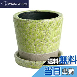 �y���������z�_���g��(Dulton) �A�ؔ� �v�����^�[ �󂯎M�t�� ������ ���픫 �J���[ ���|�p�i CH13-G476_CH15-G527_CH14-G518 COLOR GLAZED POT �F�F���C���O���[���A�T�C�Y�F4��