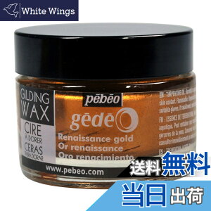 �y���������z�M���f�B���O���b�N�X SURFACE_PROTECTION_WAX �F�F���l�b�T���X�S�[���h