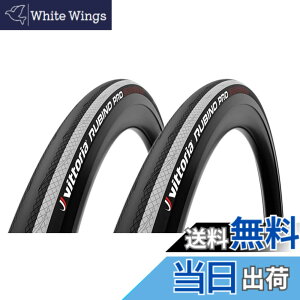 �y���������zVittoria(���B�b�g���A) RUBINO PRO CLINCHER G2.0(���r�m�v�� �N�����`���[ G2.0) ���[�h�p�^�C�� 700x25C 2�{�Z�b�g �F�F�u���b�Nx�z���C�g�A�T�C�Y�F700x25C