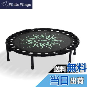 �y���������z�A���C���R(ALINCO) �g�����|���� ���� �t�B�b�g�l�X �G�N�T�T�C�Y �ƒ�p ��l�p �q���p �y�t�H�[���f�B���O�g�����|���� EXGA923 /�N�b�V�����g�����|���� FA723�z �F�F�O���[��