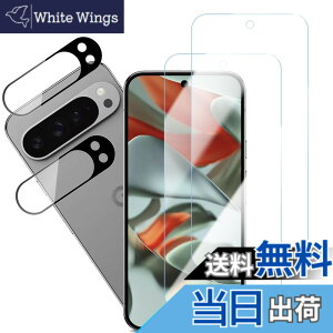 �y���������zHUAKE 2���Z�b�g ���{�f�ލ̗p ��p �K���X�t�B���� �T�C�Y�FLG-Google Pixel 9 Pro