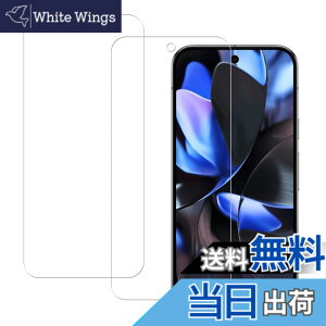 �y���������zHUAKE 2���Z�b�g ���{�f�ލ̗p ��p �K���X�t�B���� �T�C�Y�F2-Google Pixel 9 Pro