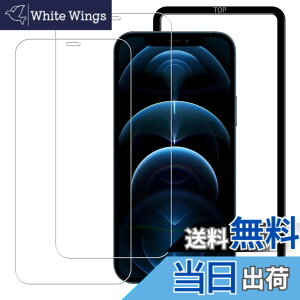 �y���������zHUAKE 2���Z�b�g ���{�f�ލ̗p ��p �K���X�t�B���� �F�F�����A�T�C�Y�F2-D-iphone 12 pro max