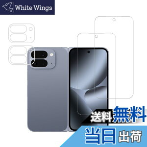 �y���������zHUAKE 2���Z�b�g ���{�f�ލ̗p ��p �K���X�t�B���� �F�F�����A�T�C�Y�FPixel 10 ProFold