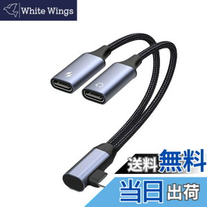 �y���������zAkkerds Type-C�C���z���W���b�N�ϊ��A�_�v�^�i2 in 1�j USB-C�P�[�u�� DAC�f�R�[�_�g�уp�\�R������ ���������[�dUSB-C�A�_�v�^ �[�d�ƒ��̂𓯎��ɍs��
