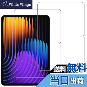 �y���������zHUAKE 2���Z�b�g ���{�f�ލ̗p ��p �K���X�t�B���� �F�F�����A�T�C�Y�F2-Xiaomi Pad 7 Pro