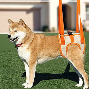 【送料無料】犬用介護ハーネス 犬 補助ハーネス 犬歩行補助ハーネス 色:オレンジ、サイズ:L