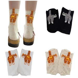 yz[FASELE] C fB[X  \bNX qp wlp\bNX N[\bNX  L  ԕ Rbg  ʋC _炩 t H~ I[V[Y ~bh`[u