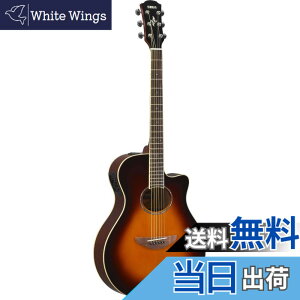 �y���������z���}�n �G���A�R�M�^�[ APX600 �F�F�I�[���h�o�C�I�����T���o�[�X�g(OVS)