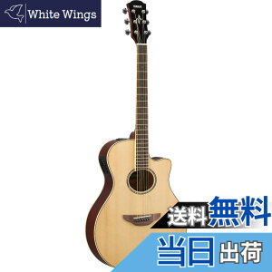 �y���������z���}�n �G���A�R�M�^�[ APX600 �F�F�i�`������(NT)