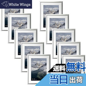 �y���������zHAKUBA �z�� �A���~ AG-02 �F�F�V���o�[�A�T�C�Y�FA4