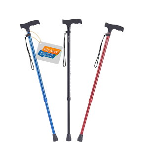 �y���������z�r�O�A���N�X�iBigAlex�j�X�e�b�L �� �L�k�X�e�b�L �L�k�� �y�� �A���~ ���������\ ���s�x�� ��ԎU�� �F�F�u���[�A�T�C�Y�F1�� (x 1)