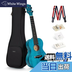 �y���������zEnya �}�z�K�j�[�E�N���� �F�F�̐F�R���T�[�g�E�N�����A�T�C�Y�F�R���T�[�g