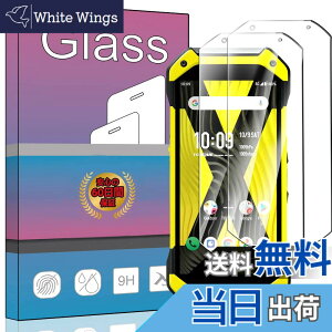 �y���������zPCduoduo �t�B���� �����K���X �ی�t�B���� �F�F2�� TORQUE 5G au KYG01�A�T�C�Y�F2�� TORQUE 5G au KYG01