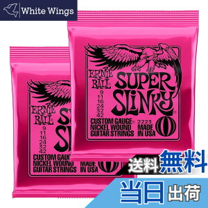 �y���������z�y���K�i�z ERNIE BALL 2223 �M�^�[�� (09-42) SUPER SLINKY �X�[�p�[�E�X�����L�[ �F�F�j�b�P���A�T�C�Y�F������2�p�b�N
