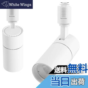 �y���������zled �X�|�b�g���C�g �B���O���[���p 100W���� ����̌^ �d���s�v ��t�ȒP �F�F�z���C�g�A�T�C�Y�F10W 5000K ����