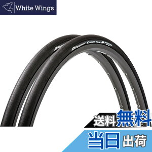 �y���������z�p�i���[�T�[(Panaracer) �N���[�U�[�v���X (���[�h�o�C�N/�N���X�o�C�N�����^�C��) �F�F�u���b�N�A�T�C�Y�F700x28C