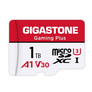 �y���������zGIGASTONE �}�C�N��sd�J�[�h 1TB-2-1 Core Group �F�F1TB Gaming Plus 1���Z�b�g�A�T�C�Y�F1TB