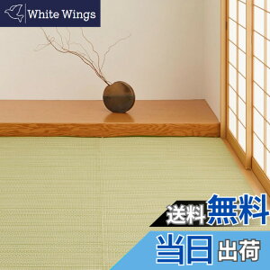 �y���������z���� �􂦂� �������J�[�y�b�g ���C�A�� �F�F�O���[���A�T�C�Y�F435 x 528 cm (�����`)