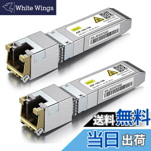 �y���������z10Gtek 10GBase-T SFP+���W���[��, 10G-T, 10G�J�b�p�[, RJ-45 SFP+ CAT.6a, �ő�30m, ���g�����V�[�o �F�Fx2�A�T�C�Y�F2����