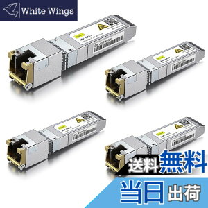 �y���������z10Gtek 10GBase-T SFP+���W���[��, 10G-T, 10G�J�b�p�[, RJ-45 SFP+ CAT.6a, �ő�30m, ���g�����V�[�o �F�Fx4�A�T�C�Y�F4����