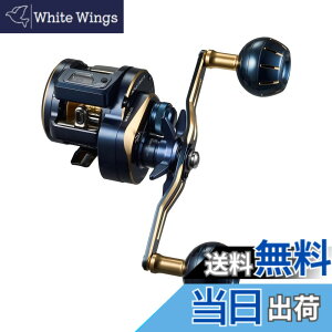 �y���������z�_�C��(DAIWA) �J�E���^�[�t���I�t�V���A�x�C�g���[�� SALTIGA(�\���e�B�K)IC 100~300�� �V���O���n���h��/�_�u���n���h�� �e��(2021-2023���f��) �F�F�s���A�T�C�Y�F300L-DH
