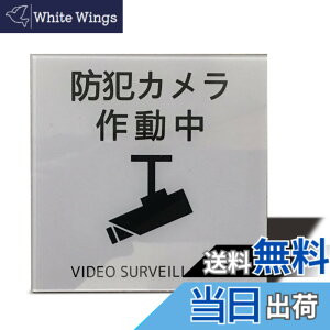 �y���������zSeagron �T�C���v���[�g ���ʃe�[�v�t�� 2mm�A�N������ ������� �F�F�h�ƃJ�����쓮���i�C���X�g�^�j?�O���[�A�T�C�Y�F80x80mm�i�X�e�b�J�[�j