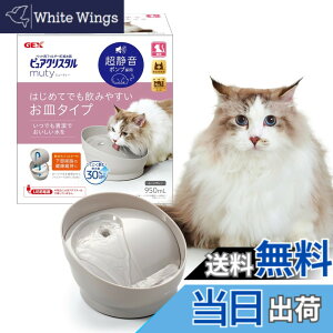 ���i�摜