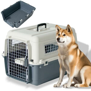 �y���������z�v�`�����o�� �y�b�g�L�����[ ���^�� ���^�� ��^�� �F�F�O���[�A�T�C�Y�FDX70 LL�T�C�Y(���^/���̂��t��)