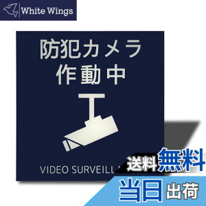 �y���������zSeagron �T�C���v���[�g ���ʃe�[�v�t�� 2mm�A�N������ ������� �F�F�h�ƃJ�����쓮���i�C���X�g�^�j�[�u���[�A�T�C�Y�F100x100mm�i�}�O�l�b�g�j