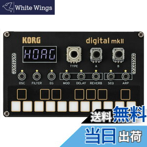 �y���������zKorg Synth Parent 2024 �F�F�u���b�N�A�T�C�Y�FNTS1DIGITAL2