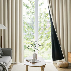 �y���������zAIFY �J�[�e�� 4���Z�b�g 1���Ռ� 99.9%�ȏ�Ռ� �����@�\�� �����x�Ȑ��n ���� ���r���O���[�� �h���[�v�J�[�e�� UV�J�b�g �`�ԋL�����H�ς� �f�M �ߓd�΍� ����ډB�� �ۉ� ����