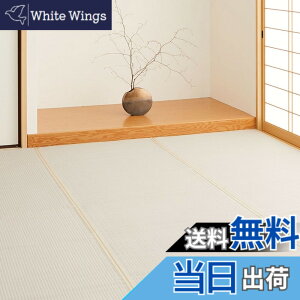 �y���������z���� �􂦂� �������J�[�y�b�g �l�� �F�F�O���[�A�T�C�Y�F277 x 370 cm (�����`)