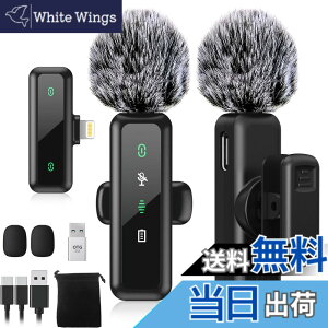 �y���������z�yBILIWAL 2024�V�o��z �s���}�C�N ���C�����X iPhone/iPad/PC�Ή� �T�C�Y�FLightning ��M�@ + ���M�@ x 2