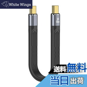 �y���������zLIANHATA USB Type CtoC �P�[�u�� USB4.0 40Gbps�����f�[�^�]�� 8K@60Hz�f���o�� PD�Ή�100W/5A�}���[�d USB-C to USB-C ��13.5cm �F�F10Gbps �I�X to �I�X