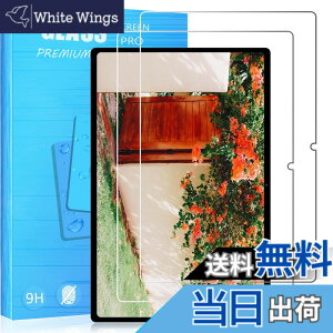 �y���������zFOR �p�̃K���X�t�B���� �����K���X�t�B����1 �F�F2�� Headwolf HPad5 10.5 �C���`�A�T�C�Y�F2�� Headwolf HPad5 10.5 �C���`