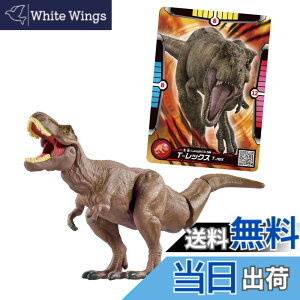 ���i�摜