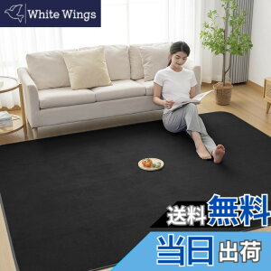 �y���������zMatdeco �J�[�y�b�g SY-I001-FT �F�F�u���b�N�A�T�C�Y�F135x185cmx1cm