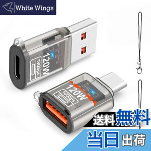 �y���������zleizhan USB Type-C �I�X����USB ���X�A�_�v�^�[�A10Gbps/120W Type-C����USB 3.1�����[�d�E�f�[�^�]���EOTG�A�_�v�^�[ �F�FTransparent black�A�T�C�Y�F120W USB - TypeC