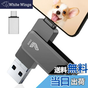 �y���������z�y�A�v���s�v�z4in1 Phone�Ή� USB������ �F�F�u���b�N�A�T�C�Y�F256GB