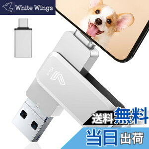 �y���������z�y�A�v���s�v�z4in1 Phone�Ή� USB������ �F�F�V���o�[�A�T�C�Y�F256GB