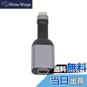 �y���������zxiwai USB-C �^�C�v C ����f�B�X�v���C�|�[�g Mini DP �P�[�u�� �A�_�v�^�[ 4K 2K 60Hz �^�u���b�g & �d�b & �m�[�g�p�\�R���p �F�FSliver