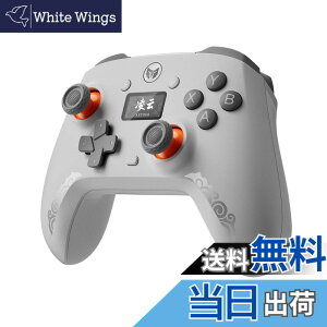 �y���������zBIGBIG WON �R���g���[���[ �F�F�O���[�A�T�C�Y�FAETHER C6