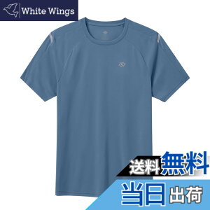 �y���������z[MoFiz] T�V���c �����Y ���� �傫���T�C�Y ���g���[�j���O�E�F�A �g���[�i�[ �ێ� UV�J�b�g �z������ �F�F�O���[�u���[�A�T�C�Y�F3L