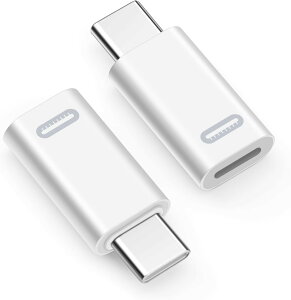 �y���������zleizhan ���C�g�j���O���X-USB-C�I�X�ϊ��A�_�v�^�i2�s�[�X�j�AType-C���C�g�j���OiPhone�f�[�^�]���A�_�v�^�A�X�g�����O�t���A�I�[�f�B�I/OTG�p�ł͂Ȃ� - �O���[ �F�F�z���C�g�A�T